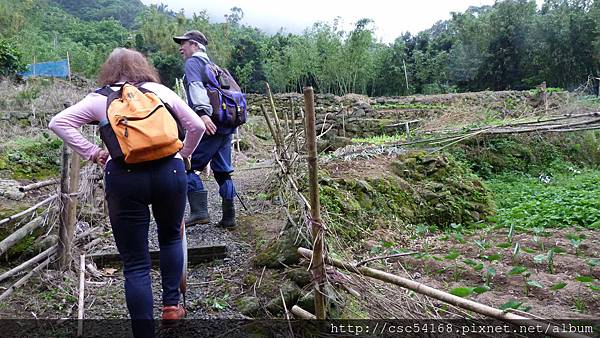 P1030228.JPG P1030228.JPG