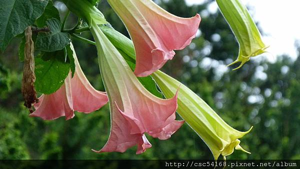 P1030254.JPG P1030254.JPG