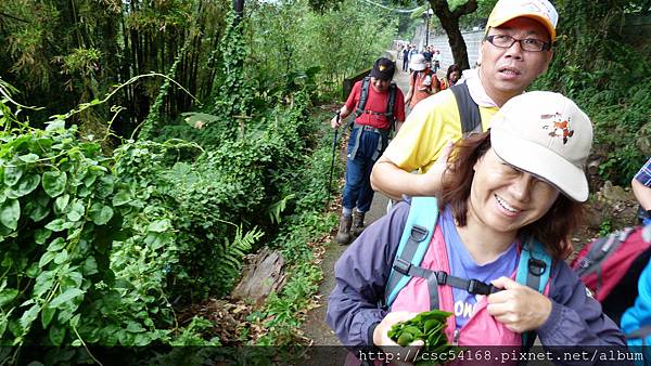 P1030281.JPG P1030281.JPG