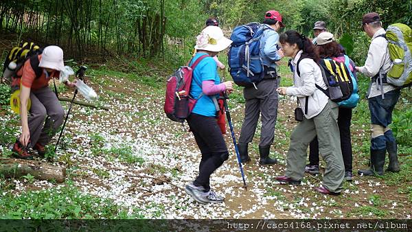 P1030323.JPG P1030323.JPG