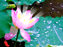 l011 l011
