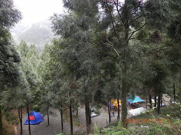 DSCN6336.JPG DSCN6336.JPG