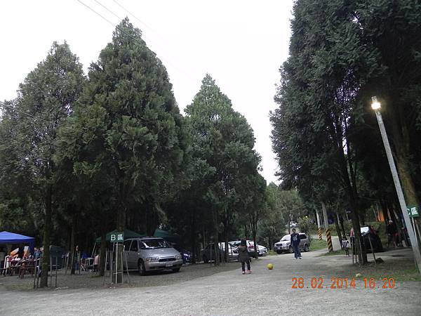 DSCN6337.JPG DSCN6337.JPG