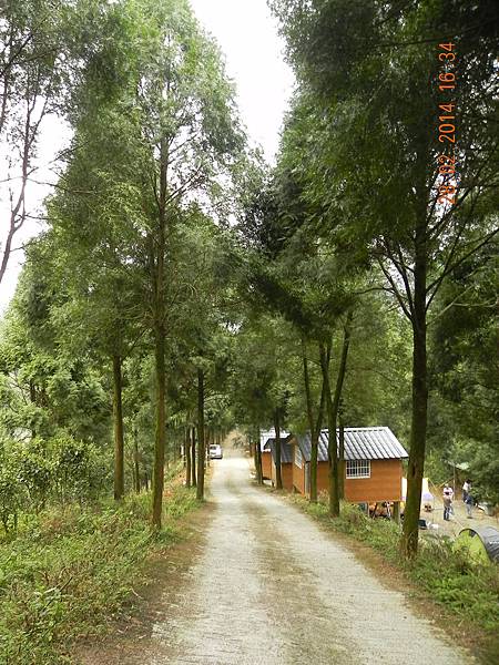 DSCN6357.JPG DSCN6357.JPG