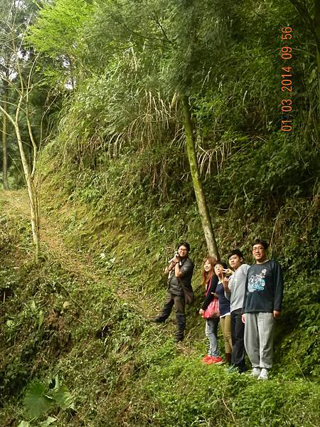 DSCN6369.JPG DSCN6369.JPG