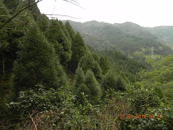 DSCN6371.JPG DSCN6371.JPG