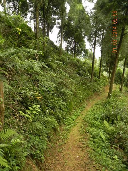 DSCN6375.JPG DSCN6375.JPG