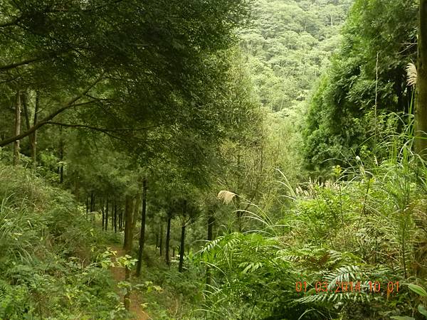 DSCN6381.JPG DSCN6381.JPG