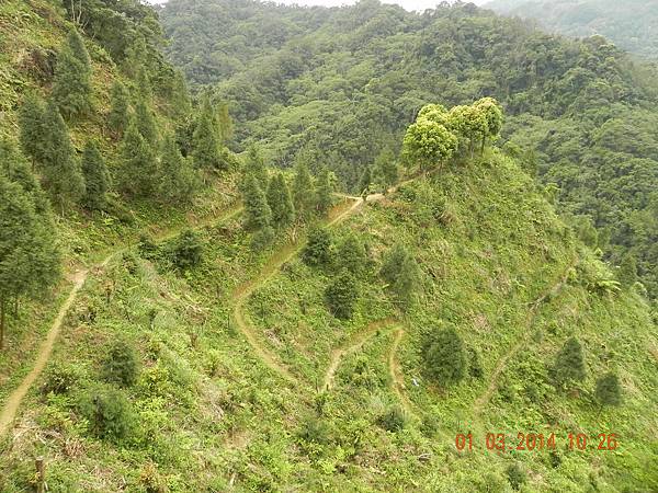 DSCN6401.JPG DSCN6401.JPG