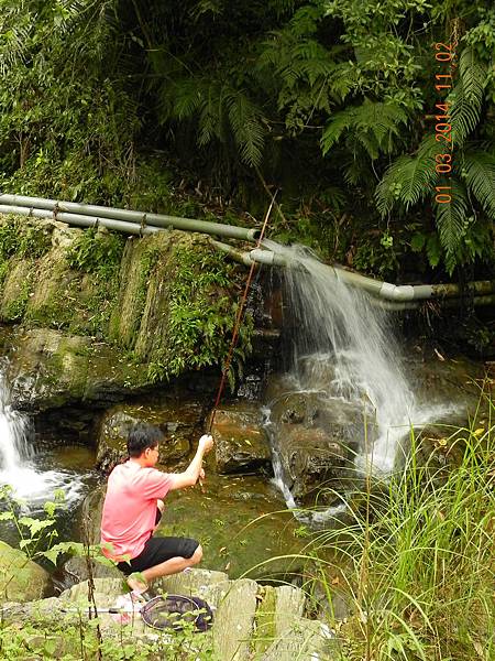 DSCN6411.JPG DSCN6411.JPG