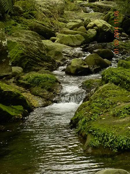 DSCN6421.JPG DSCN6421.JPG