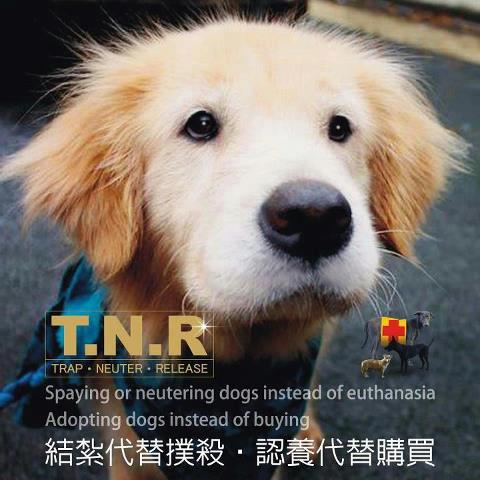 484636_354115731333136_1530139163_n