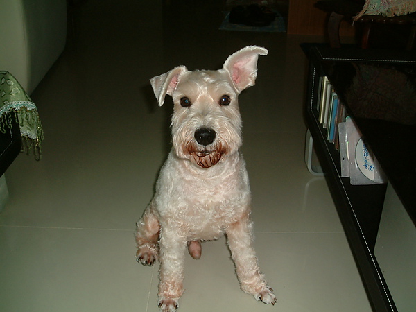 DSCF0001.JPG DSCF0001.JPG