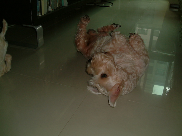 DSCF0010.JPG DSCF0010.JPG