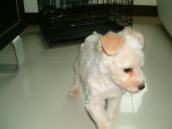 DSCF0002.JPG DSCF0002.JPG