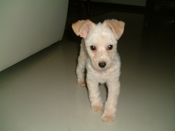 DSCF0004.JPG DSCF0004.JPG