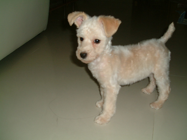 DSCF0008.JPG DSCF0008.JPG