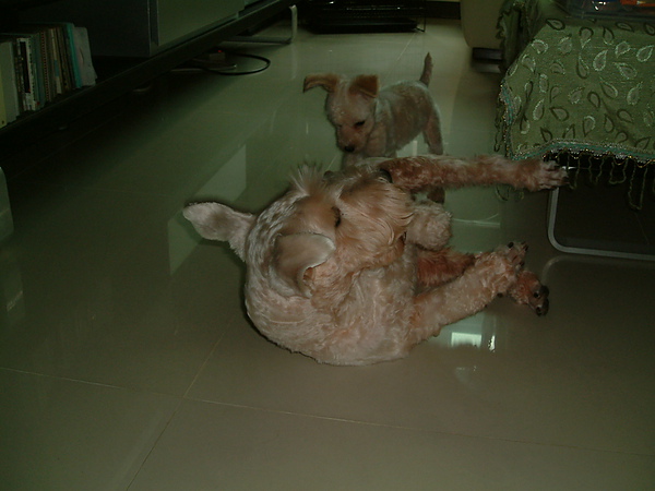 DSCF0009.JPG DSCF0009.JPG