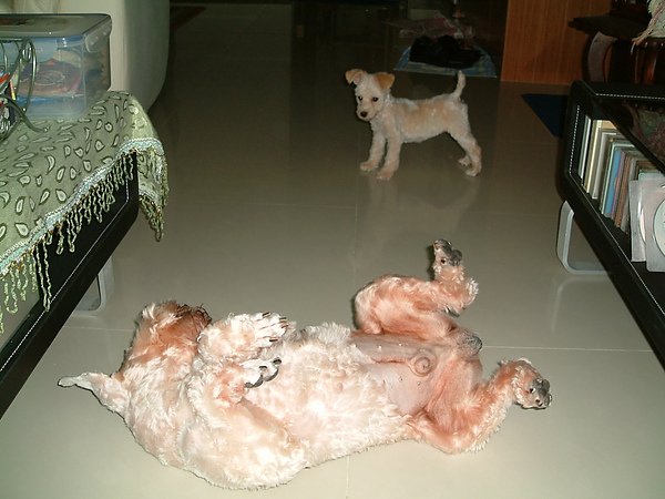 DSCF0011.JPG DSCF0011.JPG