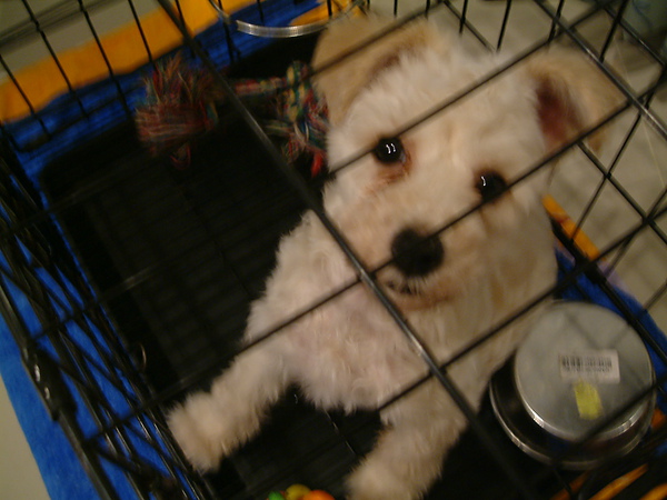 DSCF0027.JPG DSCF0027.JPG