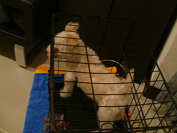 DSCF0024.JPG DSCF0024.JPG