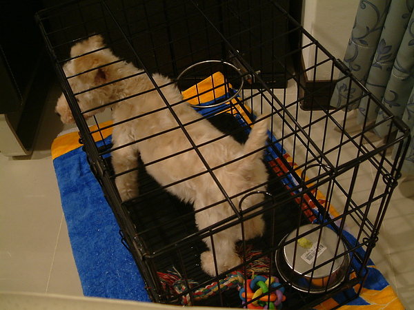 DSCF0012.JPG DSCF0012.JPG