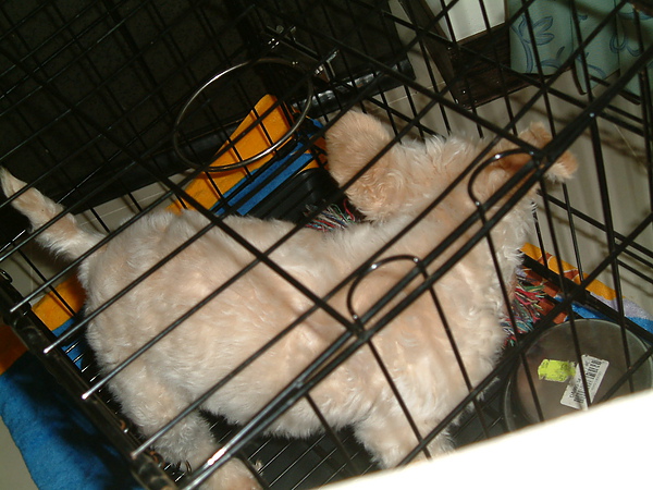 DSCF0009.JPG DSCF0009.JPG