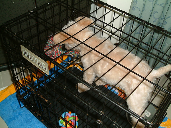 DSCF0005.JPG DSCF0005.JPG