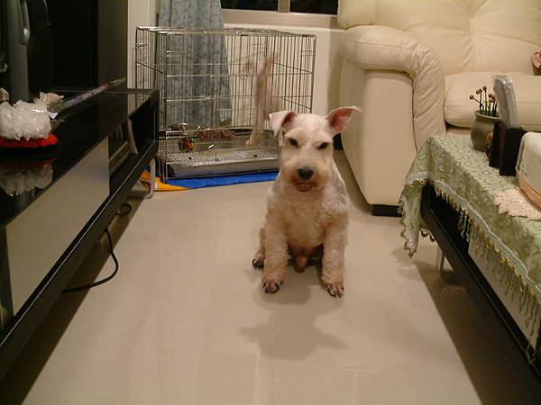 DSCF0030.JPG DSCF0030.JPG