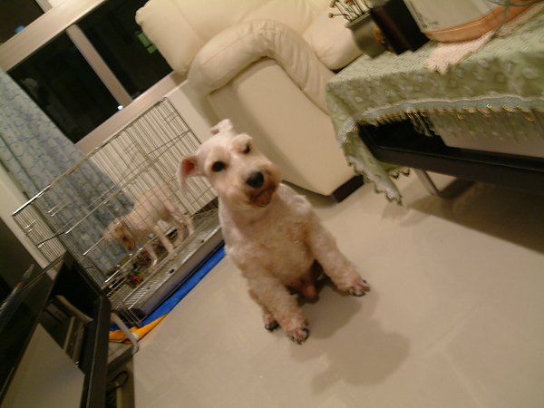 DSCF0031.JPG DSCF0031.JPG