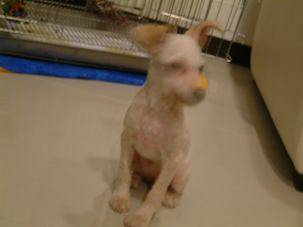 DSCF0002.JPG DSCF0002.JPG