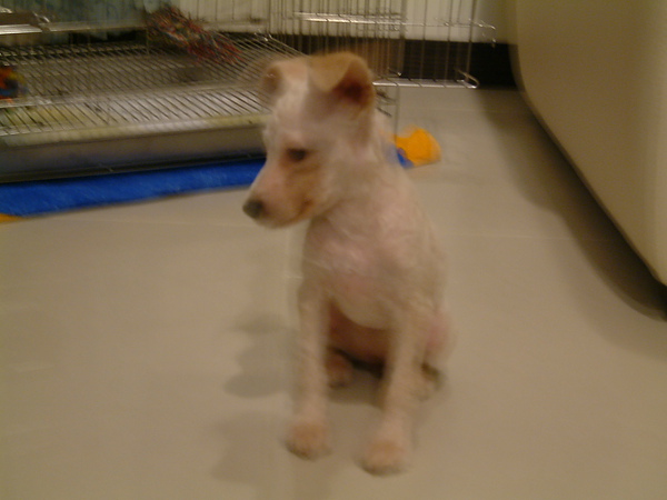 DSCF0004.JPG DSCF0004.JPG