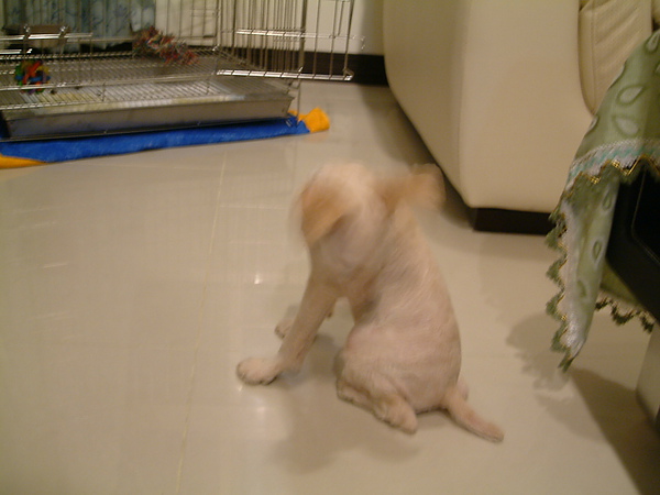 DSCF0005.JPG DSCF0005.JPG