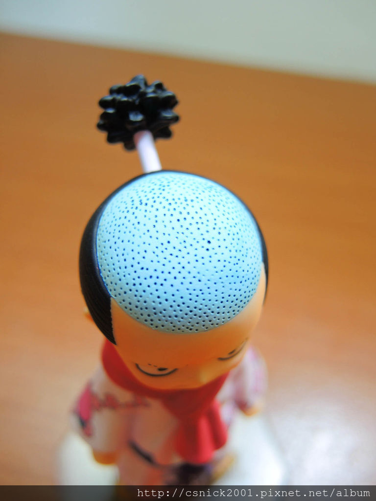 DSCN2395_調整大小.jpg DSCN2395_調整大小.jpg