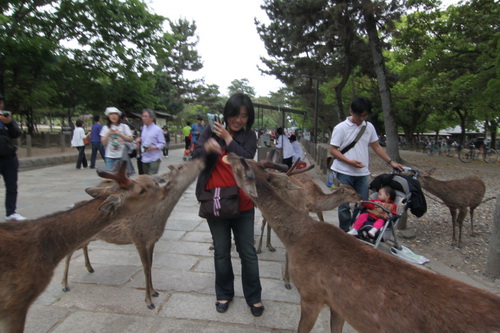 京阪-114.JPG