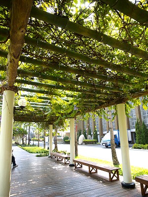 _B039305-400.jpg _B039305-400.jpg