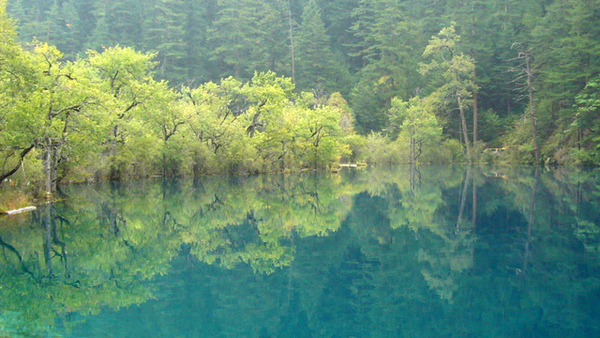 P1160341.jpg P1160341.jpg