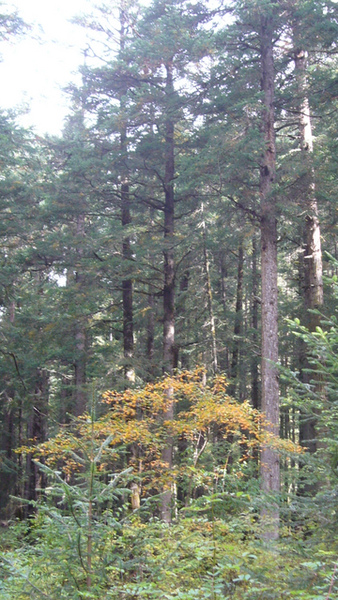 P1160379.JPG P1160379.JPG