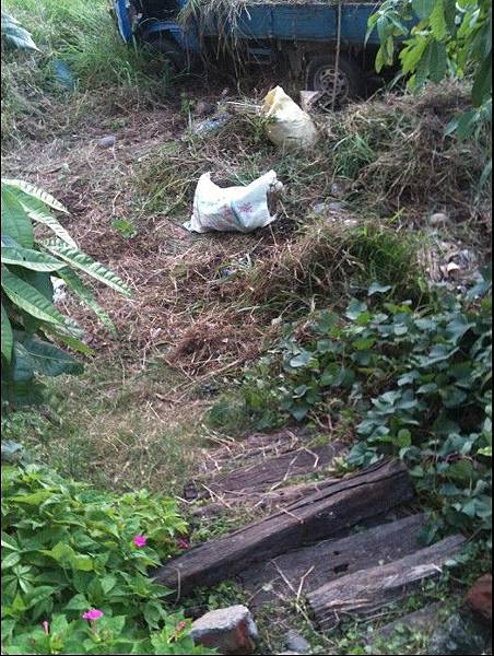 2014-05-05_044433 農場夢 除草與天竺鼠