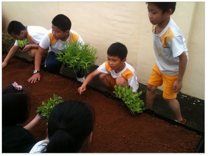 2014-05-15_232601 農場夢 在屋頂種菜了