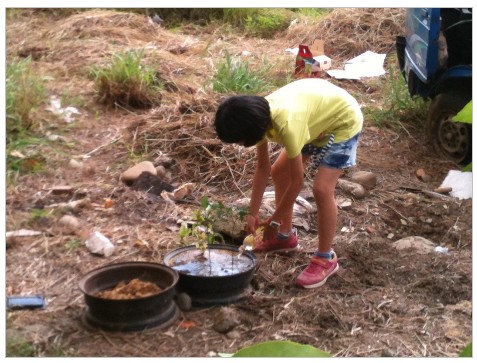 2014-06-25_000605 農場夢 小兵種菜記