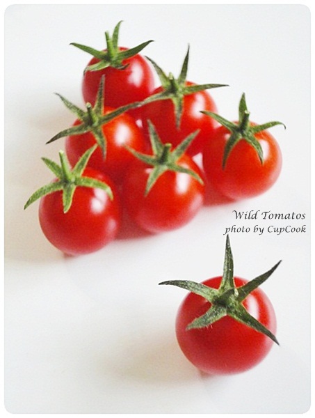 tomato (1) tomato (1)