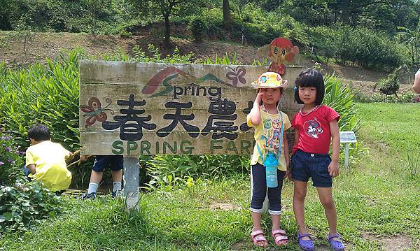 IMAG0971.jpg IMAG0971.jpg