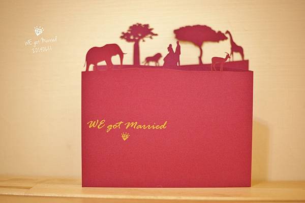 IMG_4804 (1280x853) (2) IMG_4804 (1280x853) (2)