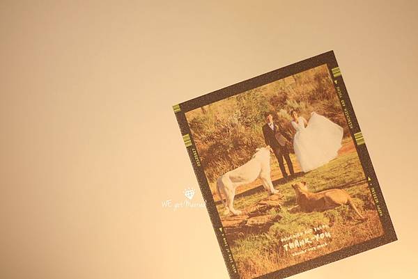 IMG_4984-1 IMG_4984-1