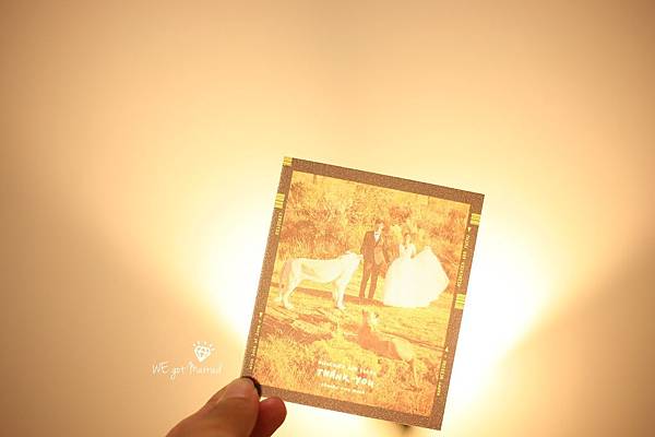 IMG_4985-1 IMG_4985-1