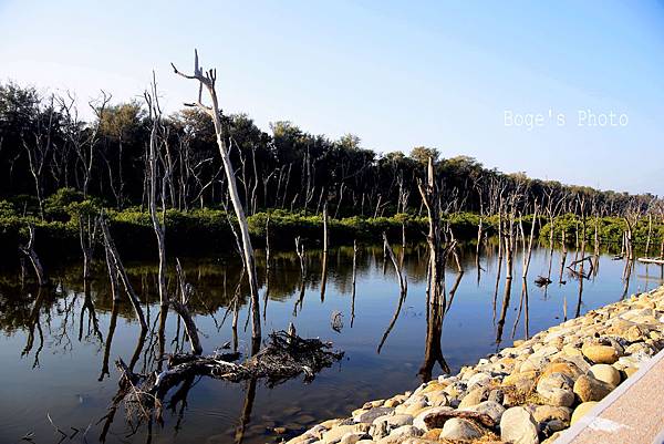IMG_4958'拷貝.jpg IMG_4958'拷貝.jpg