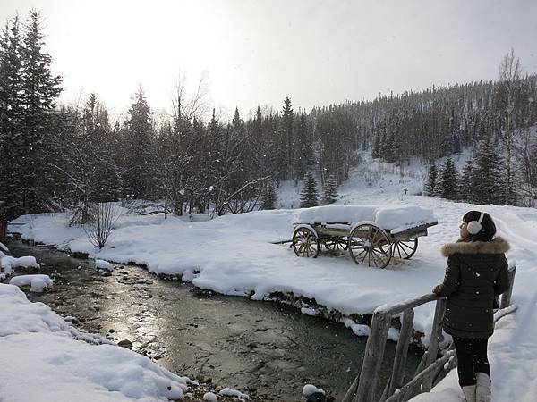 10151757_272695342907998_3970172878022543646_n