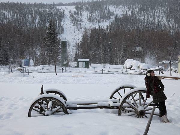 10013951_272695332907999_6516869968269689745_n