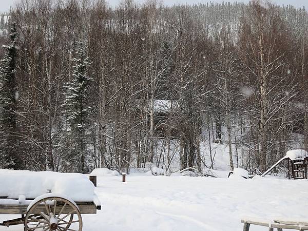 10154137_272695379574661_6083528070772552518_n